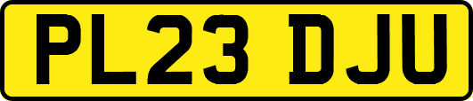 PL23DJU