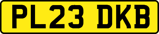 PL23DKB