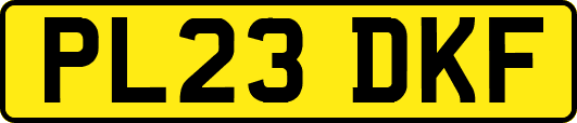PL23DKF