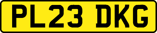 PL23DKG
