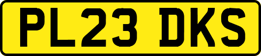 PL23DKS