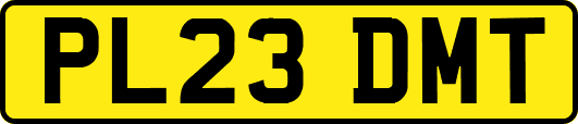 PL23DMT