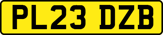 PL23DZB