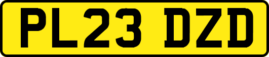 PL23DZD