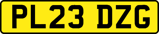 PL23DZG