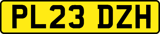 PL23DZH