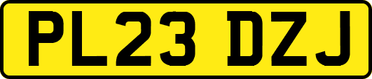 PL23DZJ