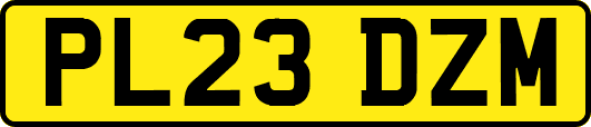 PL23DZM