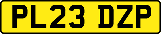 PL23DZP