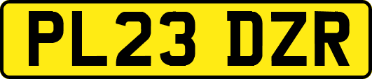 PL23DZR