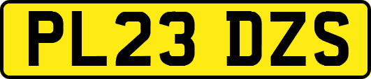 PL23DZS