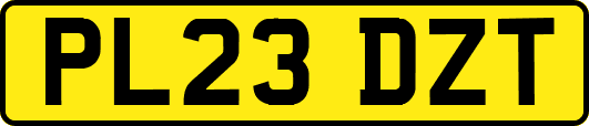 PL23DZT