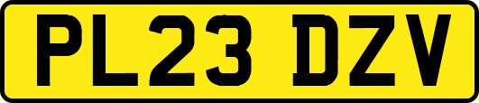 PL23DZV