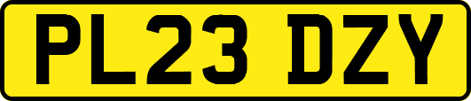 PL23DZY