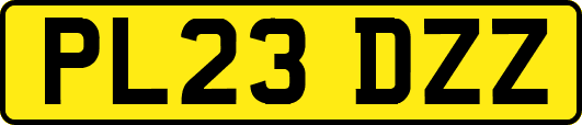 PL23DZZ