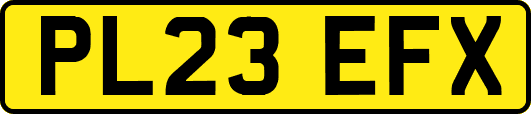 PL23EFX
