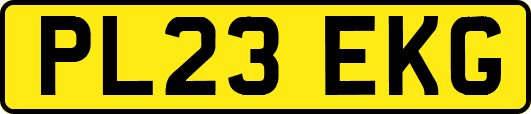 PL23EKG