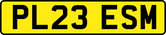PL23ESM