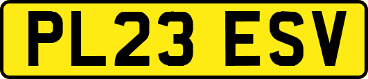 PL23ESV