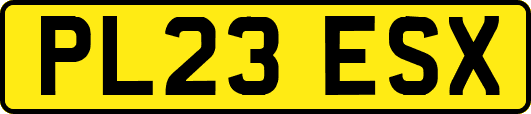 PL23ESX
