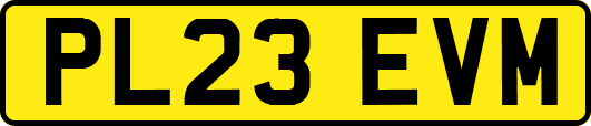 PL23EVM