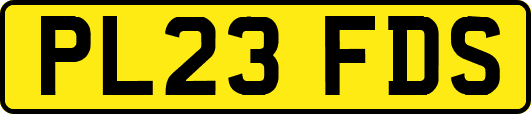 PL23FDS