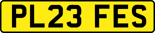 PL23FES