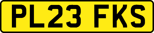 PL23FKS