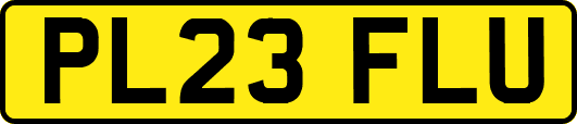 PL23FLU