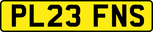 PL23FNS
