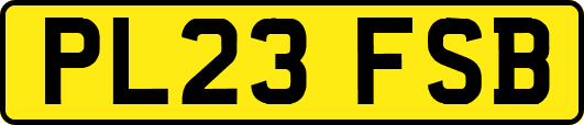 PL23FSB