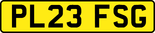 PL23FSG