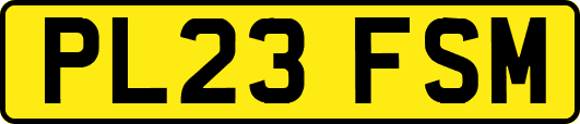PL23FSM