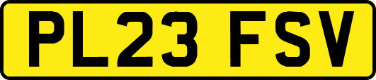PL23FSV