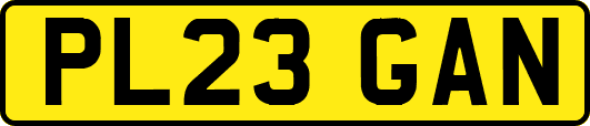 PL23GAN