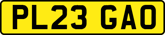 PL23GAO