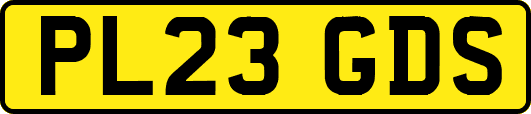 PL23GDS