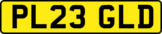 PL23GLD