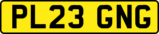 PL23GNG