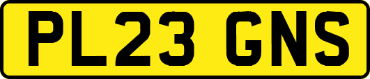 PL23GNS