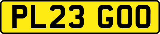 PL23GOO
