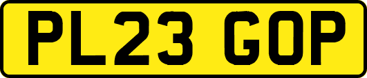 PL23GOP