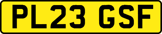 PL23GSF