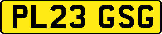 PL23GSG