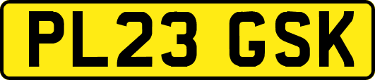 PL23GSK
