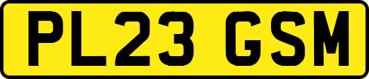 PL23GSM