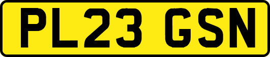 PL23GSN