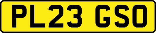 PL23GSO