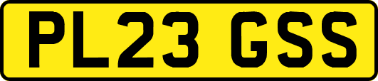 PL23GSS