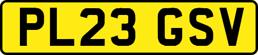 PL23GSV